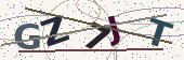 Security code image