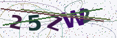Security code image